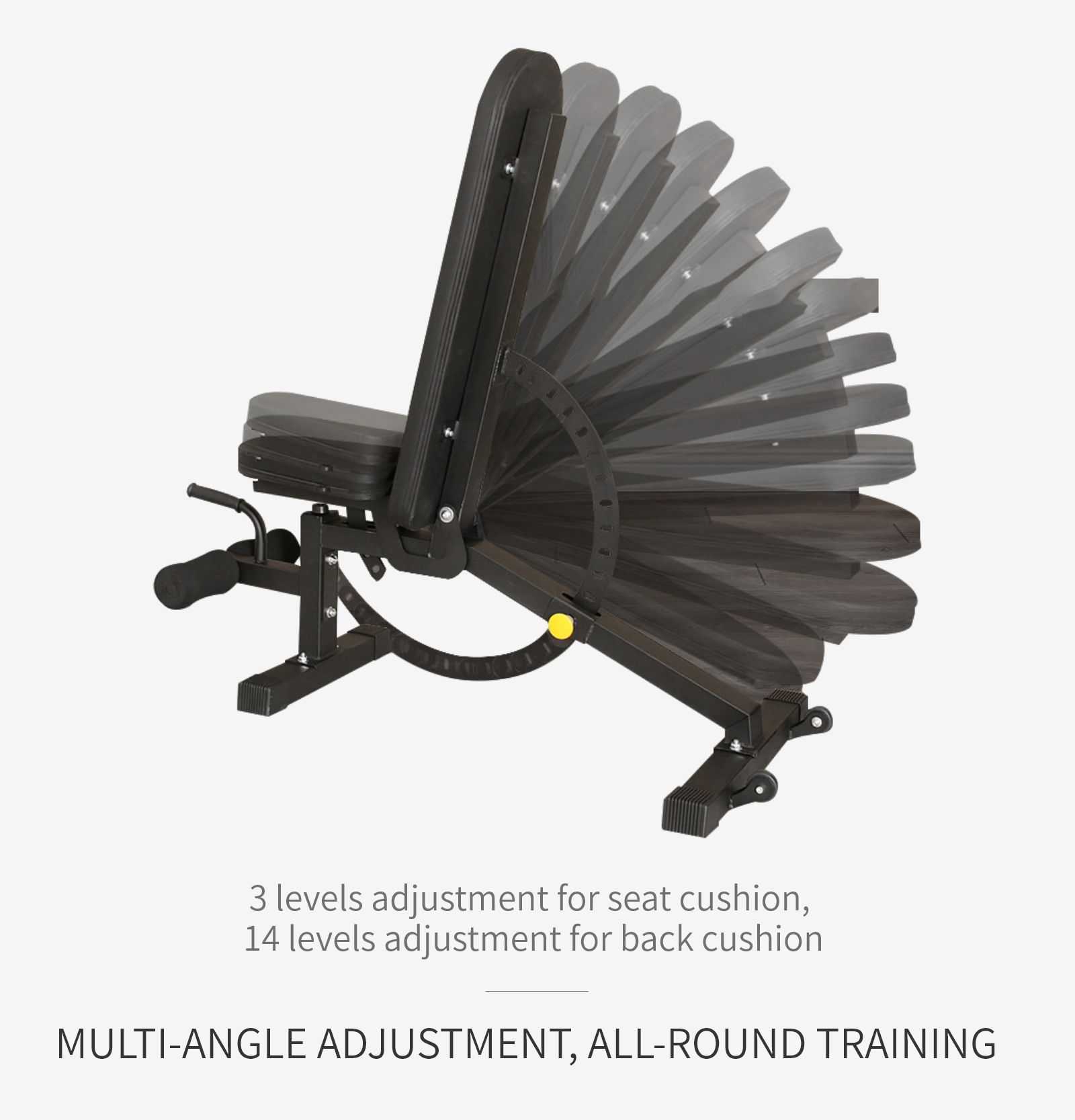 Multifunctionele halterbank Multifunctionele halterbank