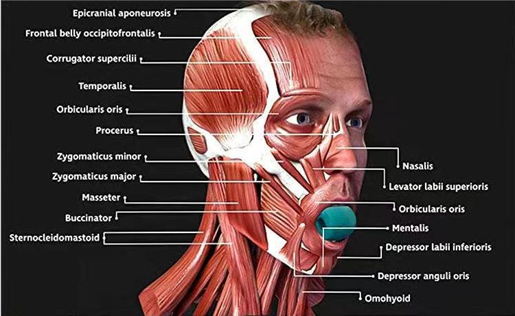 Verbeter geluk Index-Jewline trainer fabrikant-kom en kies ons Verbeter geluk Index-Jewline trainer fabrikant-kom en kies ons