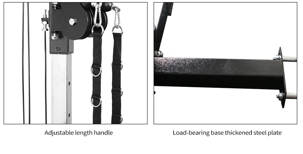 Multifunctionele wandvogelvogel uitgebreid trainingsapparaat Multifunctionele wandvogelvogel uitgebreid trainingsapparaat