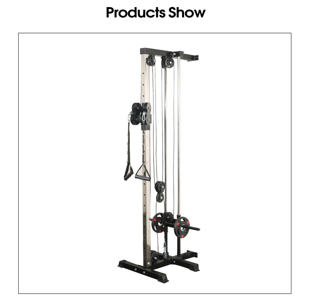 Multifunctionele wandvogelvogel uitgebreid trainingsapparaat Multifunctionele wandvogelvogel uitgebreid trainingsapparaat