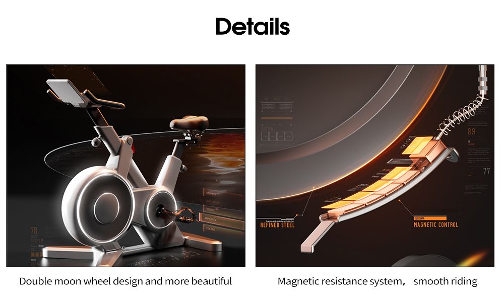 Volledig ingesloten magnetische controle spinning fiets