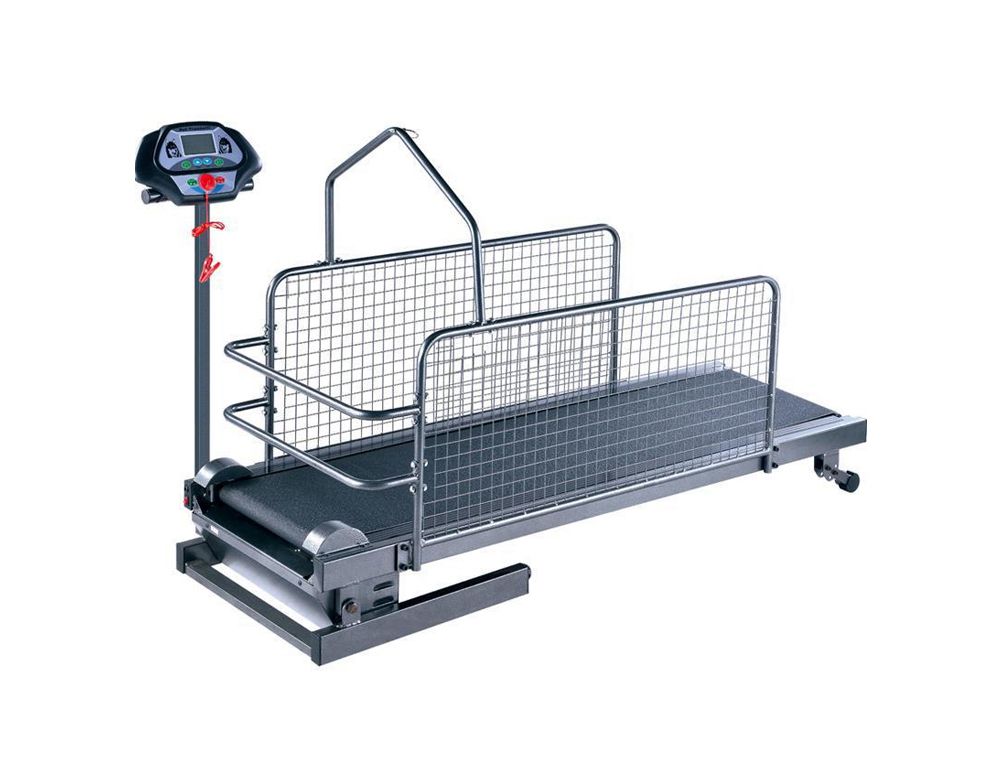 Pet Dog Treadmill