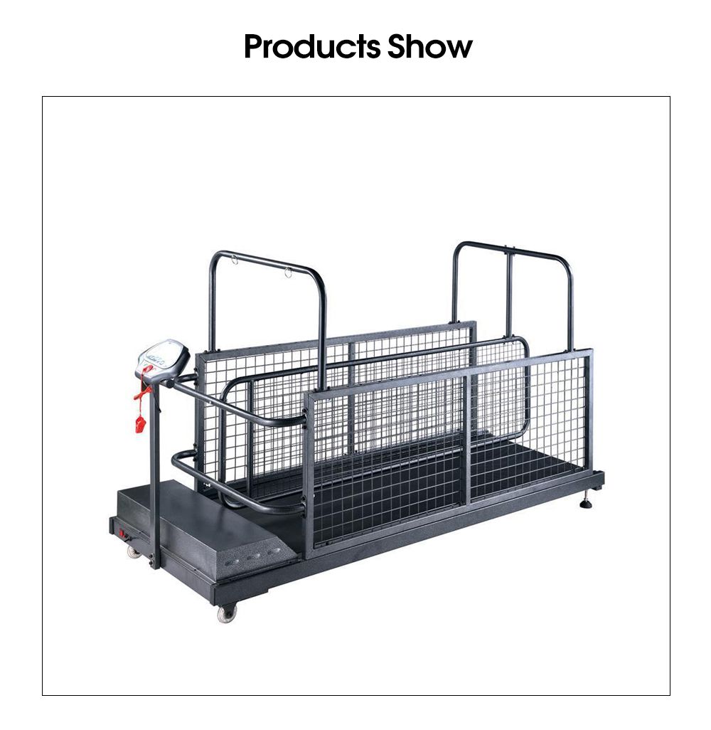 Pet Dog Treadmill