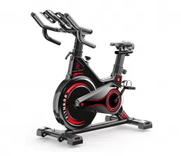 Magnetische regeling spinfiets