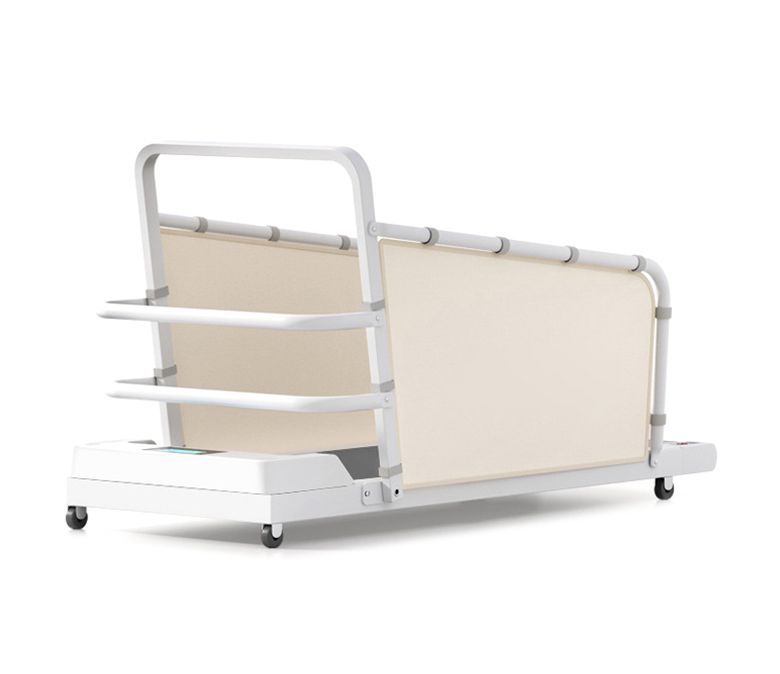 Pet Treadmill Small and Medium Dog Walker