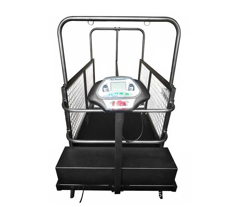 Beste hondenrunning machine loopband