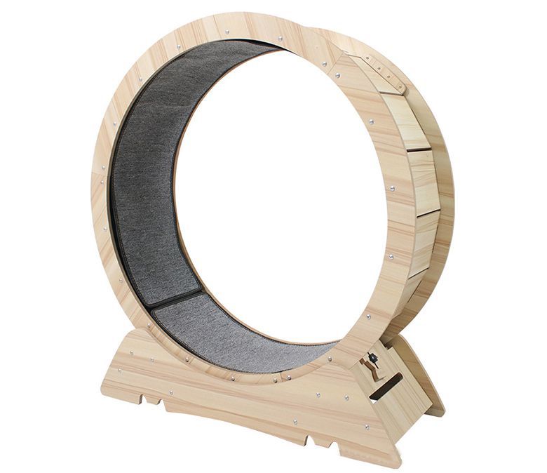 Katoefeningswiel loopband